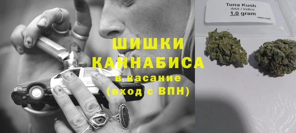спайс Алексин