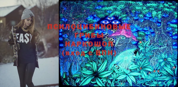 спайс Алексин