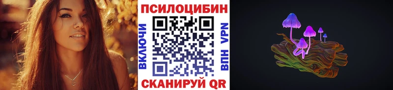 цена   Киреевск  Галлюциногенные грибы Psilocybe 